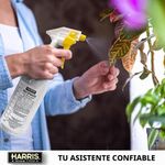 Atomizador Profesional Sprayer 946 mL