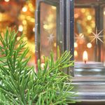 Set de 18 Velas Tealight Aromáticas Silent Night