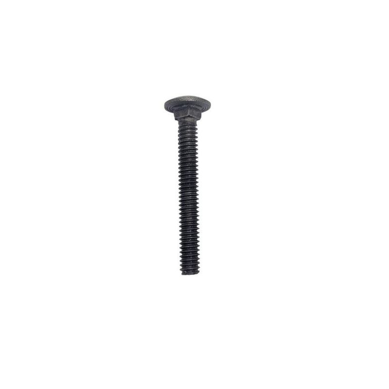 Tornillos de Carrocería de 1/4 x 2 Plg en Bolsa de 10 Unidades