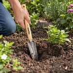 Juego de Herramientas de Mano para Jardín de Acero al Carbono con Mangos de Madera para Horticultura, 4 Piezas