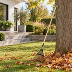 Escoba Metálica para Jardín de Acero Templado con 18 Dientes y Mango de Madera de 157 Cm Negro y Natural