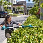 Cortasetos de Altura Inalámbrico de 18 V con Motor sin Escobillas y Cuchilla de 46 Cm Azul