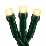 Serie de 300 Luces LED Fijas Blanco Cálido con Cable Verde