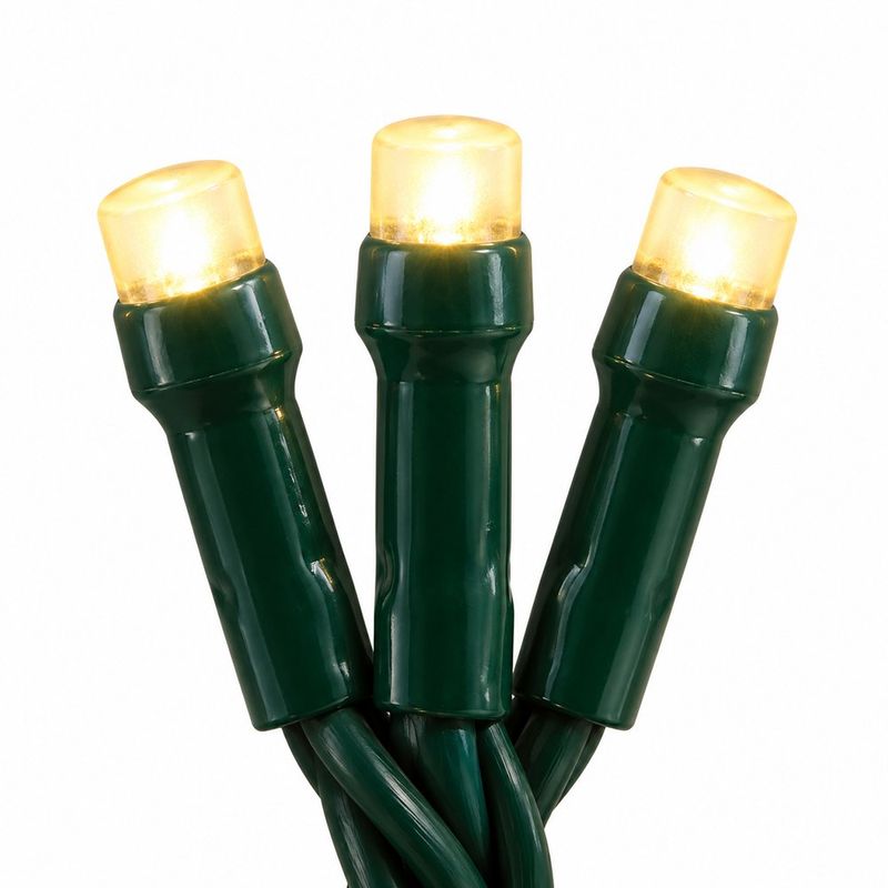 Serie de 300 Luces LED Fijas Blanco Cálido con Cable Verde
