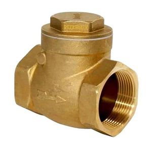 Válvula Cheque Horizontal 2 Plg