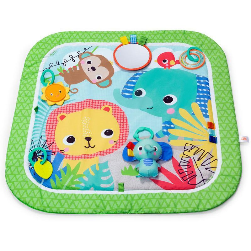 Gimnasio De Actividades Wild Wiggles - Bright Stars