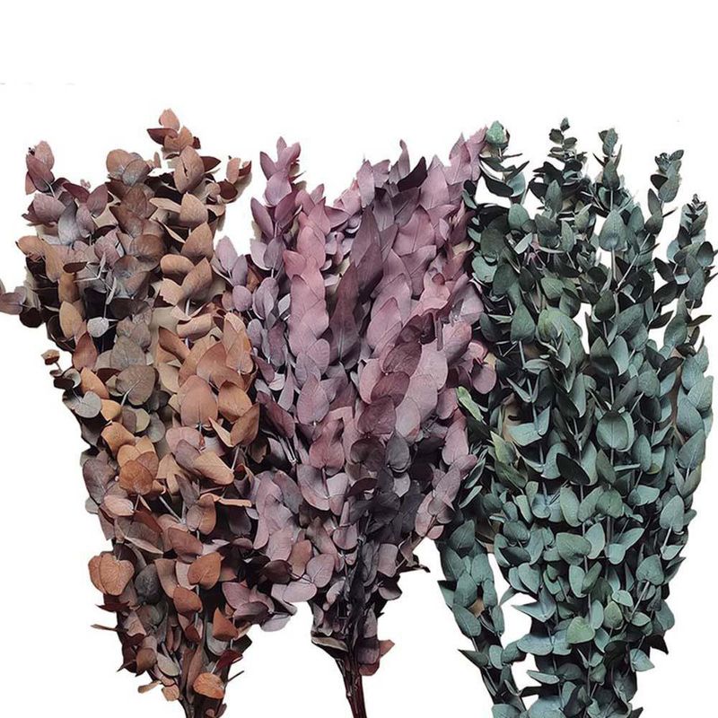 Eucalipto Preservado 1 Unidad Colores Surtidos - Kotz'Ijal