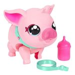 Cerdito - Little Live Pets
