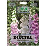 Semilla De Digitalis Variado - Germoveg´S