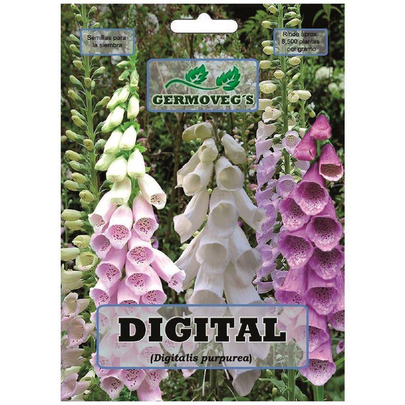 Semilla De Digitalis Variado - Germoveg´S