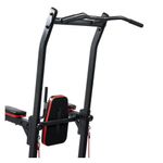 Chip Up +Knee Raise - Natures Miracle