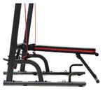 Chip Up +Knee Raise - Natures Miracle