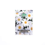 Semilla De Margarita Gigante Blanco - Germovegs