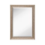 Espejo de Pared Decorativo 74x104 cm Marco Plateado y Dorado