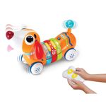 Cachorro Arcoíris Con Control Remoto - Winfun