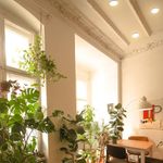 Plafón De Techo Gris Y Blanco Led 35 W - Tecnolite