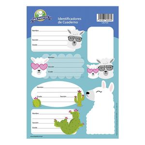 Identificador Blister Cactus Teddy