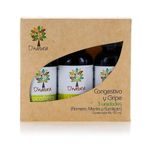 Kit Congestivo Y Gripe (Romero, Menta Y Eucalipto)