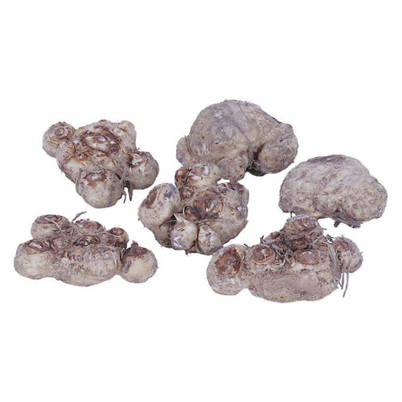 Bolsa De Cartuchos En Bulbos De Callas Lily 5 Unidades - Germoveg´s