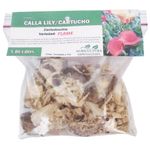 Bolsa De Cartuchos En Bulbos De Callas Lily 5 Unidades - Germoveg´s