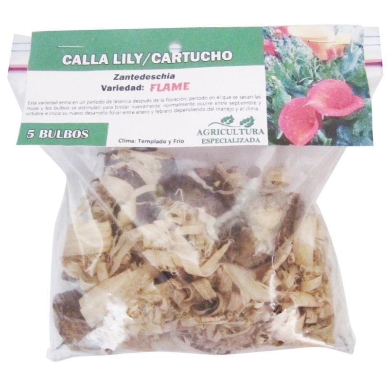 Bolsa De Cartuchos En Bulbos De Callas Lily 5 Unidades - Germoveg´s