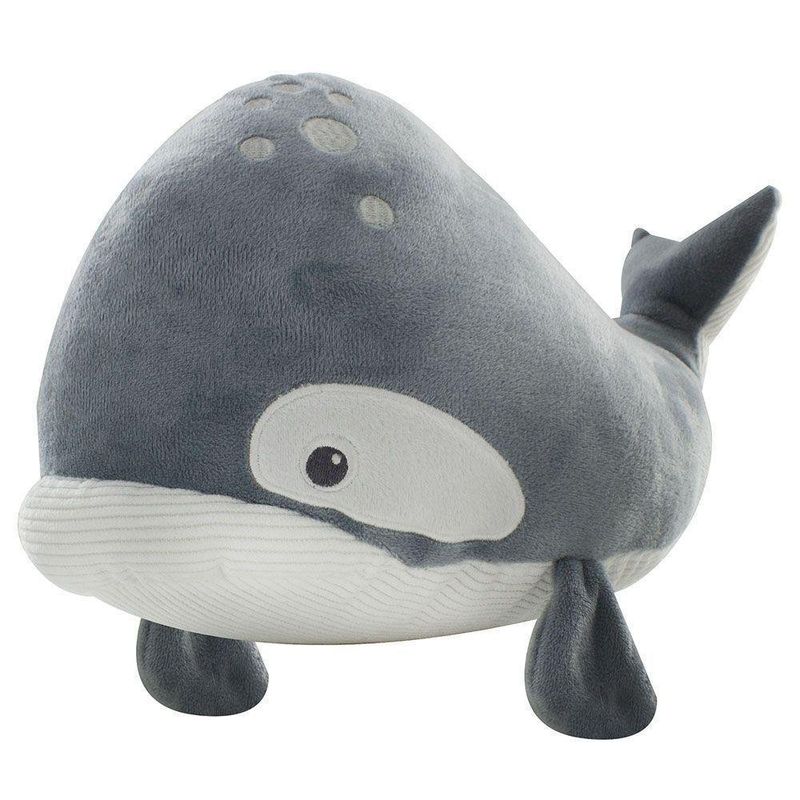 Ecoluches Serie Oceanos