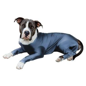 Traje Scuba Gris Talla S. - Scuba