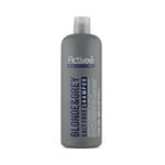 Shampoo 27 Oz Blonde And Gray - Activee