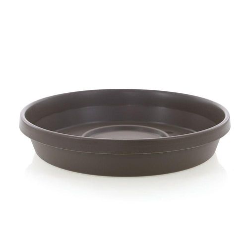 Caja Terra Chocolate 10 - Bloem