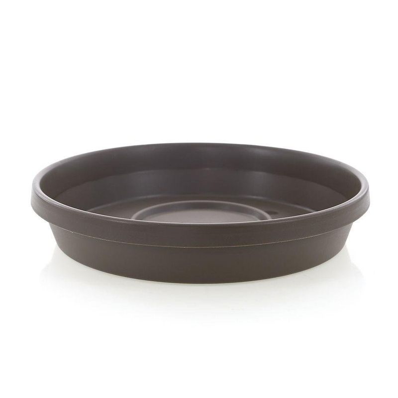 Caja Terra Chocolate 10 - Bloem