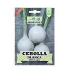 Semilla De Cebolla