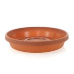 Caja Terracota 12 - Bloem