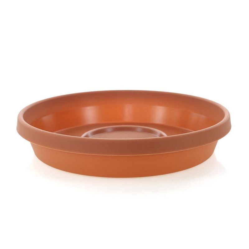 Caja Terracota 12 - Bloem