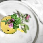 Set De Vasos Mixology 11.8 Oz 6 Pzas