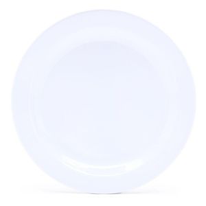 Plato Plano Blanco Melamina 9.8 Plg