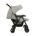 Carruaje Doble Aire Twin Nectar Mineral Gris - Joie