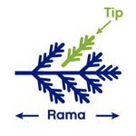 Árbol Nevado con Bayas Y Conos 7.5 Pies 1445 Tips - Scandi