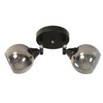 Lámpara Reflectora Para Techo Negra De 2 Luces 40 W - Zlumini