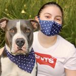 Set De Mascarilla Y Bandana Para Mascota Diseños Surtidos - Spot