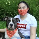 Set De Mascarilla Y Bandana Para Mascota Diseños Surtidos - Spot