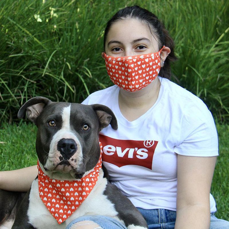 Set De Mascarilla Y Bandana Para Mascota Diseños Surtidos - Spot