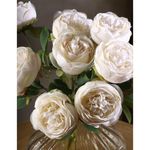 Ramo De Rosas Blancas 45 Cm  - Concepts
