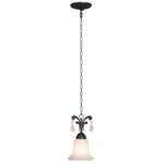 Lámpara Colgante Clásica 1 Luz De 60W - Z