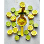 Exprimidor De Limón Con Doble Acción - Joseph Joseph