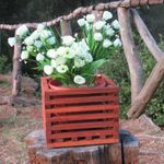 Maceta Colgante De Madera Café 30.5X16 Cm - Fixer