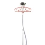 Plancha Vertical a Vapor Rosada - Rosthal