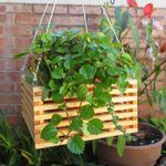 Maceta De Madera Colgante Mediana - Fixer