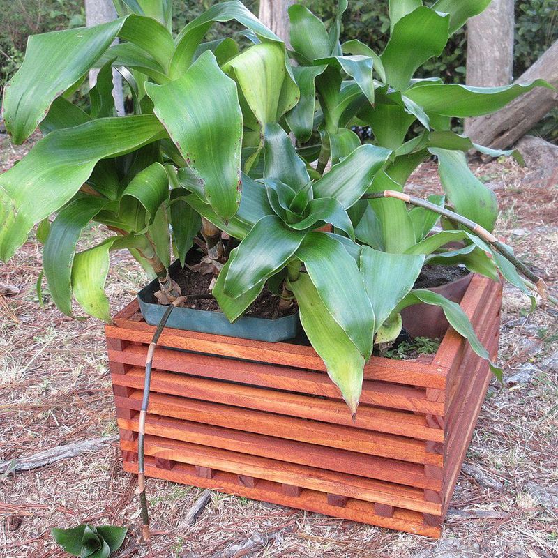 Maceta Colgante De Madera Café 30.5X16 Cm - Fixer