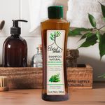 Shampoo Refrescante 500 Ml - Arbol Verde