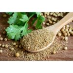 Semilla De Cilantro - Germoveg´s